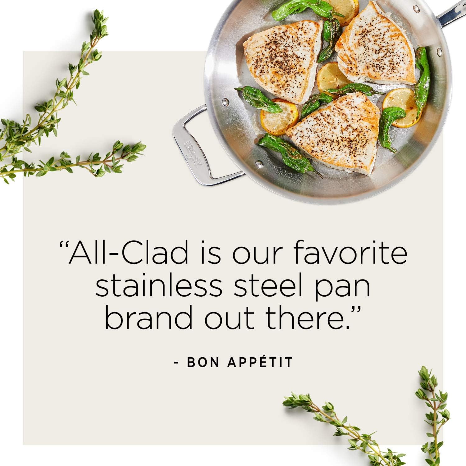 REVIEW All-Clad cookware